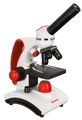 (CZ) Mikroskop Levenhuk Discovery Pico