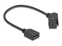 Keystone Module Mini DisplayPort panel m