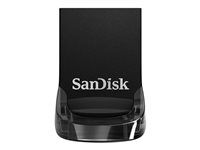 Jednotka USB flash - 512 GB - USB 3.1