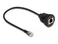 Cable RJ12 plug to RJ12 jack for install