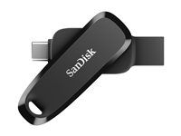 Jednotka USB flash - 256 GB - USB 3.2 Gen 1 / USB-C - černá