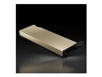 Grafický počítačový procesor - L4 - 24 GB GDDR6 - PCIe 4.0 x16 nízký profil - bez ventilátoru