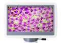 Digitální mikroskop Levenhuk D85L LCD