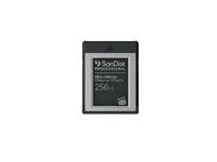 Paměťová karta flash - 256 GB - CFexpress typu B - černá