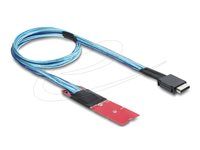 Delock M.2 Key M to 1 x OCuLink SFF-8611