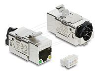 Delock Keystone Module RJ45 jack Cat.6A
