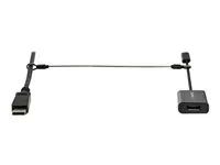 Dongle Cable Tether (CONNLOCKPK10) - Bezpečnostní kabel - stříbrná - 30 cm - kompatibilní s TAA (balení 10)