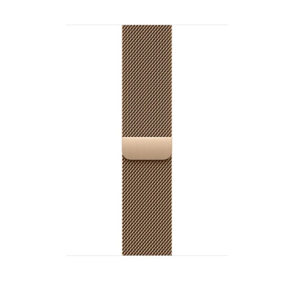 Watch Acc/46/Gold Milanese Loop - M/L