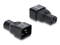 Delock - Adaptér napájení - IEC 60320 C20 do power IEC 60320 C13 - 250 V - 10 A - cerná