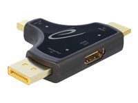 Video / audio adaptér - HDMI, DisplayPort, Mini DisplayPort s piny (male) do HDMI se zdířkami (female) - antracit - podporuje 4K