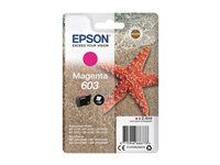 2.4 ml - purpurová - originální - blistr - inkoustová cartridge - pro Expression Home XP-2150, 2155, 3150, 3155, 4150, 4155; WorkForce WF-2820, 2840, 2845, 2870