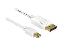 Kabel DisplayPort - DisplayPort (M) do Mini DisplayPort (M) - 5 m - bílá