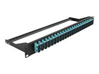 19  Fibre Patch Panel 24 port SC Duplex