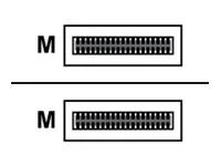 Cisco - Kabel pro prímé pripojení 400 GBase-AOC - QSFP-DD (M) do QSFP-DD (M) - 1 m - optické vlákno - Active Optical Cable (AOC) - pro P/N: 8800-LC-36FH=, 8800-LC-36FH-B=, 8804-SYS, 8808-SYS, 8812-SYS, 8818-SYS