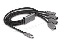 4 Port USB 2.0 Cable Hub with USB Type-C