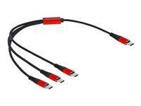 USB kabel - USB-C (M) do USB-C (M) - USB 2.0 - 5 V - 3 A - 30 cm - černá