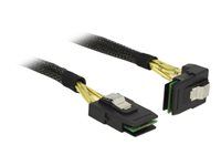 Interní kabel SAS - SAS 6Gbit/s - Mini SAS (SFF-8087) (M) rovné do Mini SAS (SFF-8087) (M) úhlový - 50 cm