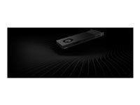 Grafická karta - RTX PRO 4000 Blackwell - 24 GB - pro P/N: 360K6AA, 38T92AA, 436M8AA#ABB, 56Q86AA, 6E3Z5AA, 6J6H7AA, 6J6H8AA, 79C24AA, 7H9Z3AA