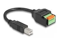 USB 2.0 Cable Type-B male to Terminal Bl
