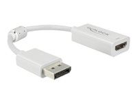 Nástroj pro převod videa - DisplayPort - HDMI - bílá
