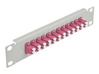 Propojovací panel - LC Duplex MM X 12 - šedá - 1U - 10"