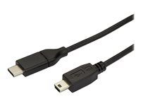 6 ft / 2m - M/M - USB 2.0 - Mini USB Cord - USB C to Mini B Cable - USB Type C to Mini USB (USB2CMB2M) - USB kabel - USB-C (M) do mini-USB typ B (M) - Thunderbolt 3 / USB 2.0 - 2 m - černá