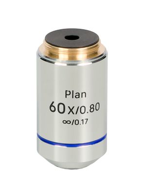 Objektiv MAGUS 60PL Plan 60х/0,80 ∞/0,17