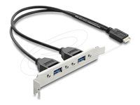 USB Type-E Key B male to 2 x USB 5 Gbps