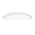 Myš drátová REBEL WDM210 White