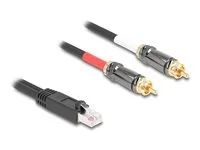 Adapter Cable RJ45 plug to 2 x RCA male