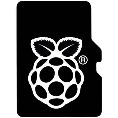 RASPBERRY Pi Micro SDHC karta 32GB NOOBS
