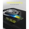 RAIDSONIC Pasivní chladič pro M.2 2280 SSD pro PS5