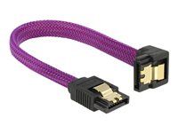 SATA 6 Gb/s Cable straight to downwards