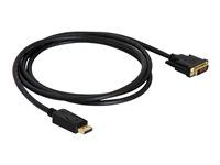 Kabel DVI - DisplayPort (M) do DVI-D (M) - 1 m - křídlové šrouby