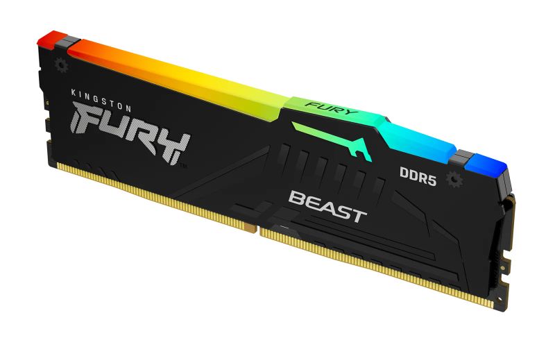 Kingston FURY Beast EXPO/DDR5/64GB/5600MHz/CL40/1x64GB/RGB/Black