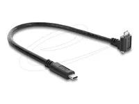 Delock - USB kabel - USB-C (M) do Micro-USB typu B (M) s šrouby - 30 cm - krídlové šrouby, up to 5 Gbps data transfer rate, Vzdálenost šroubu 18 mm, 90° konektor - cerná