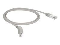 Patch kabel - RJ-45 (M) zahnutí dolů do RJ-45 (M) rovné - 1 m - S/FTP - CAT 6a - neobsahuje halogen - šedá