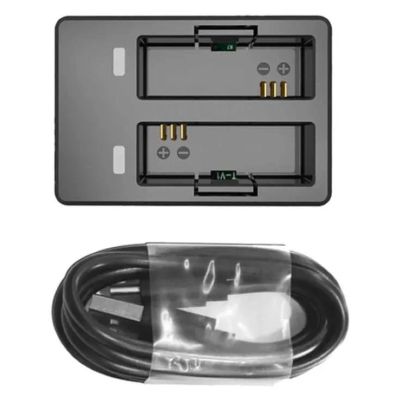 SJCAM C300 dual slot charger with cable