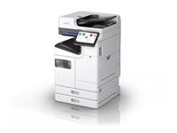 C11CL48401