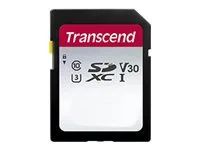 Paměťová karta flash - 256 GB - Video Class V30 / UHS-I U3 / Class10 - SDXC UHS-I