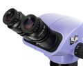 Hlavice mikroskopu MAGUS Stereo 7BH